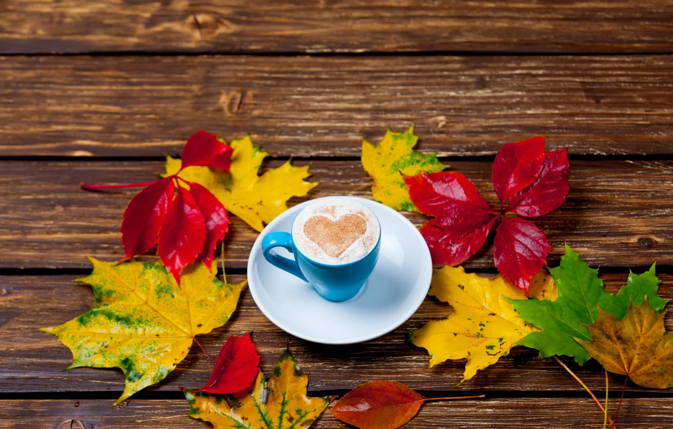 Photo wallpaper leaves, heart, colorful, heart, wood, autumn, leaves, cup