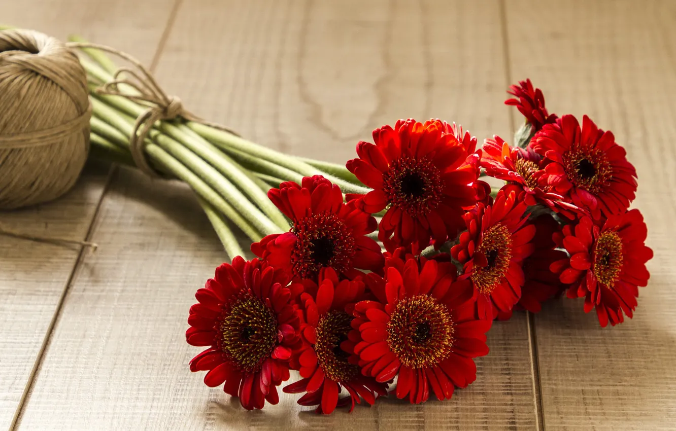 Photo wallpaper flowers, red, Board, bouquet, thread, gerbera