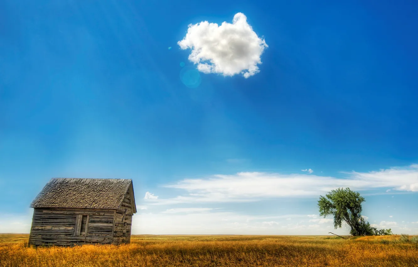 Photo wallpaper field, clouds, trees, home, 153