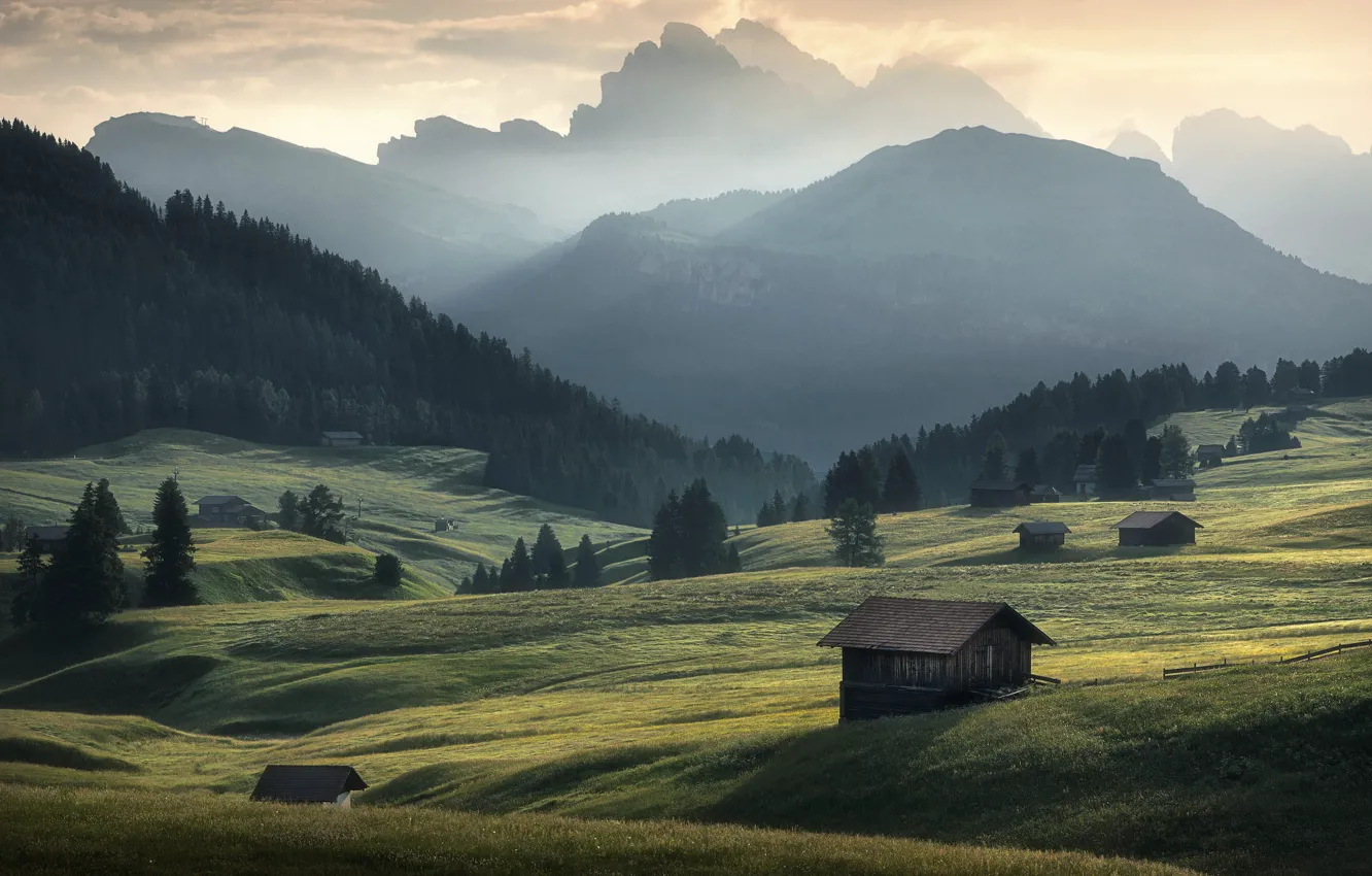 Photo wallpaper field, forest, light, mountains, fog, dawn, hills, tops