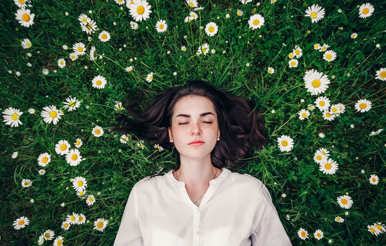 Photo wallpaper flowers, pose, model, portrait, chamomile, makeup, brunette, hairstyle