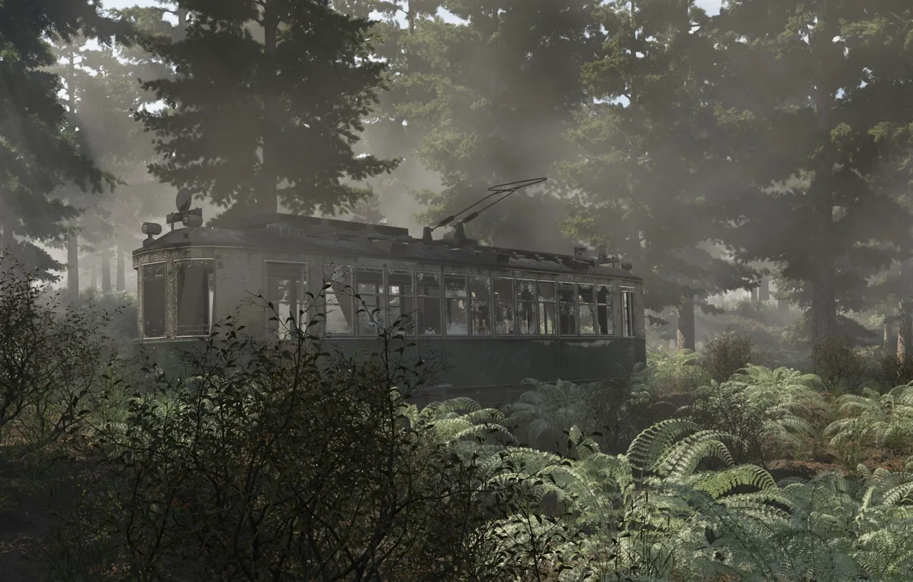 Photo wallpaper forest, nature, cars, the skeleton, art, tram, abandonment