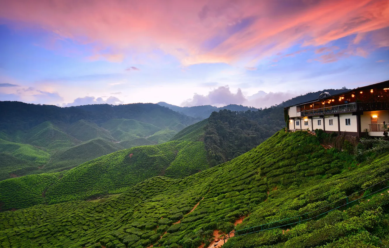 Photo wallpaper Malaysia, tanah rata, cameon hills