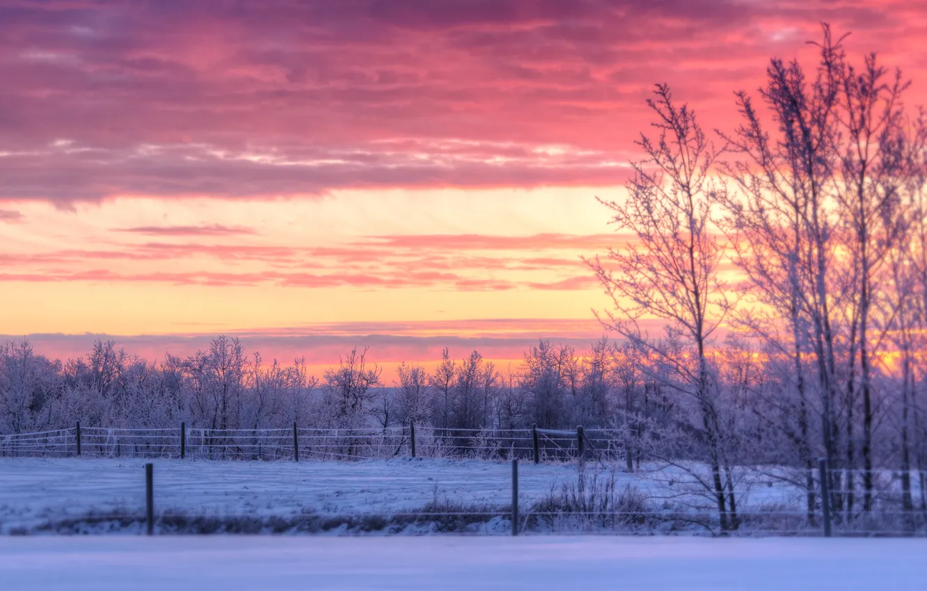 Photo wallpaper winter, clouds, snow, trees, sunset, the fence, the countryside, farm