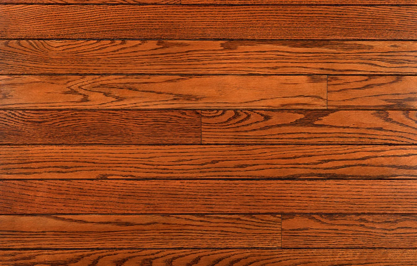 Photo wallpaper Tree, flooring, Board, brown