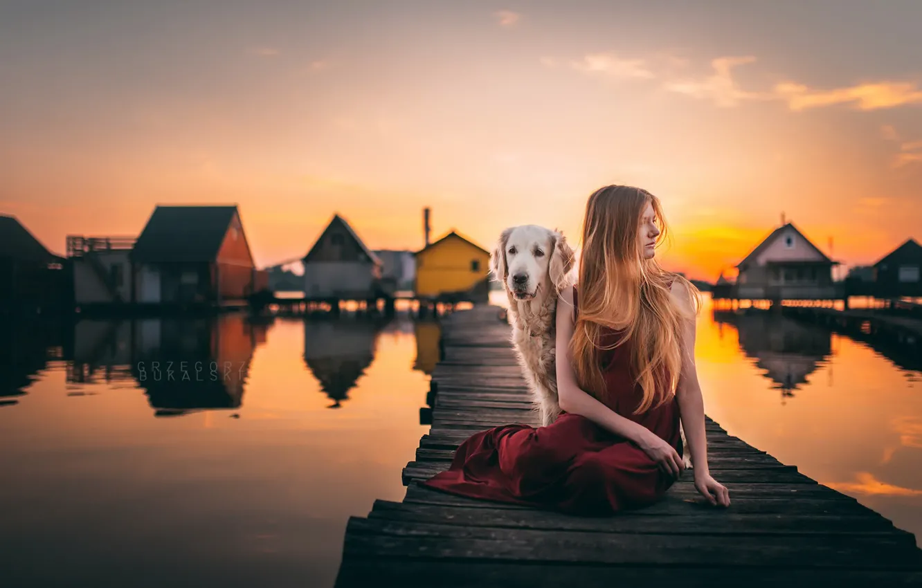 Photo wallpaper girl, sunset, bridge, dog