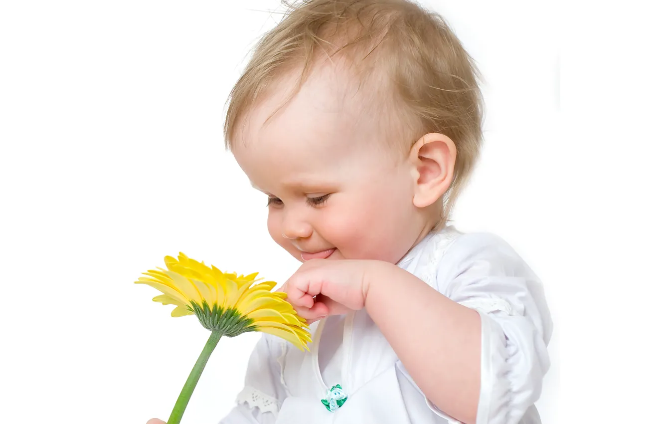Photo wallpaper flower, child, baby, child, kid, Infants