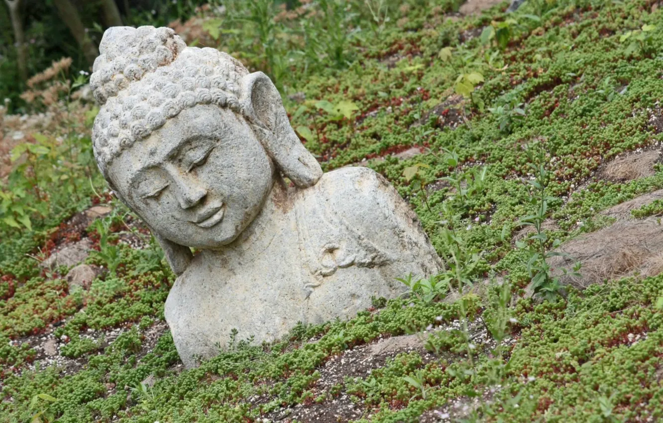 Photo wallpaper statue, Japan, Buddha, Buddha, in the land