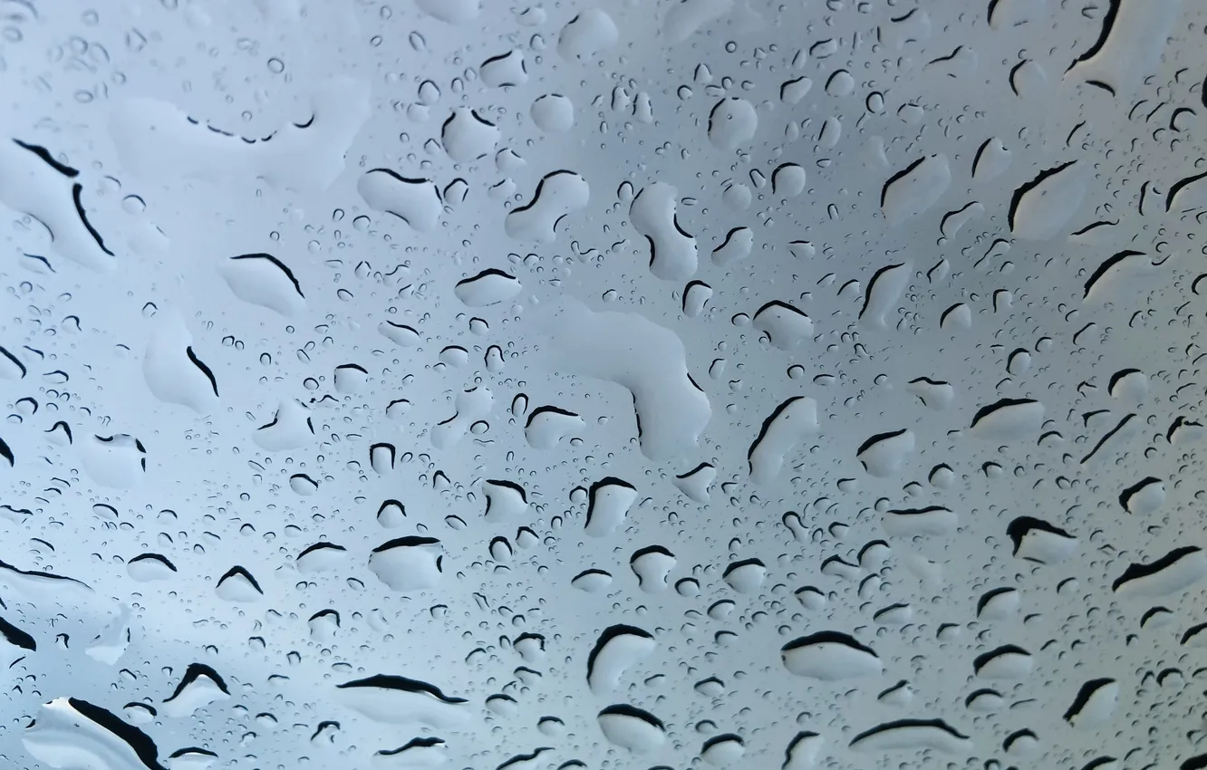 Photo wallpaper rain, rainy day, raindrops