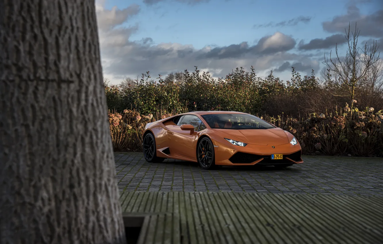 Photo wallpaper Lamborghini, Tree, Huracan, LP610-4