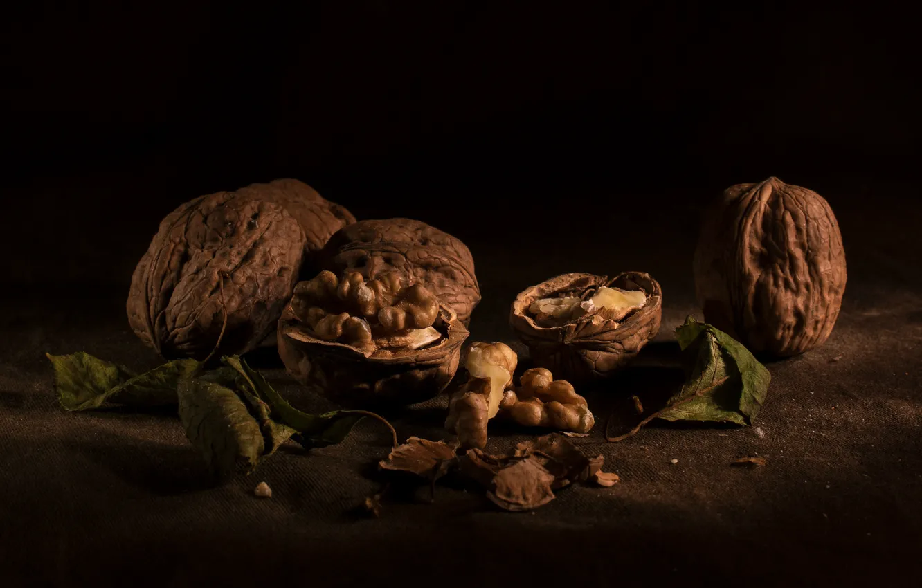 Photo wallpaper leaves, the dark background, fabric, nuts, still life, walnut, walnuts, stab