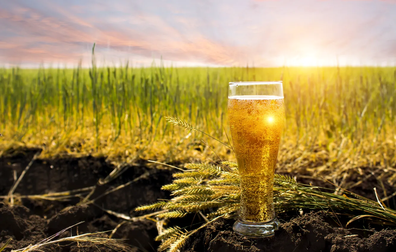 Photo wallpaper field, the sky, grass, the sun, bubbles, earth, glass, horizon