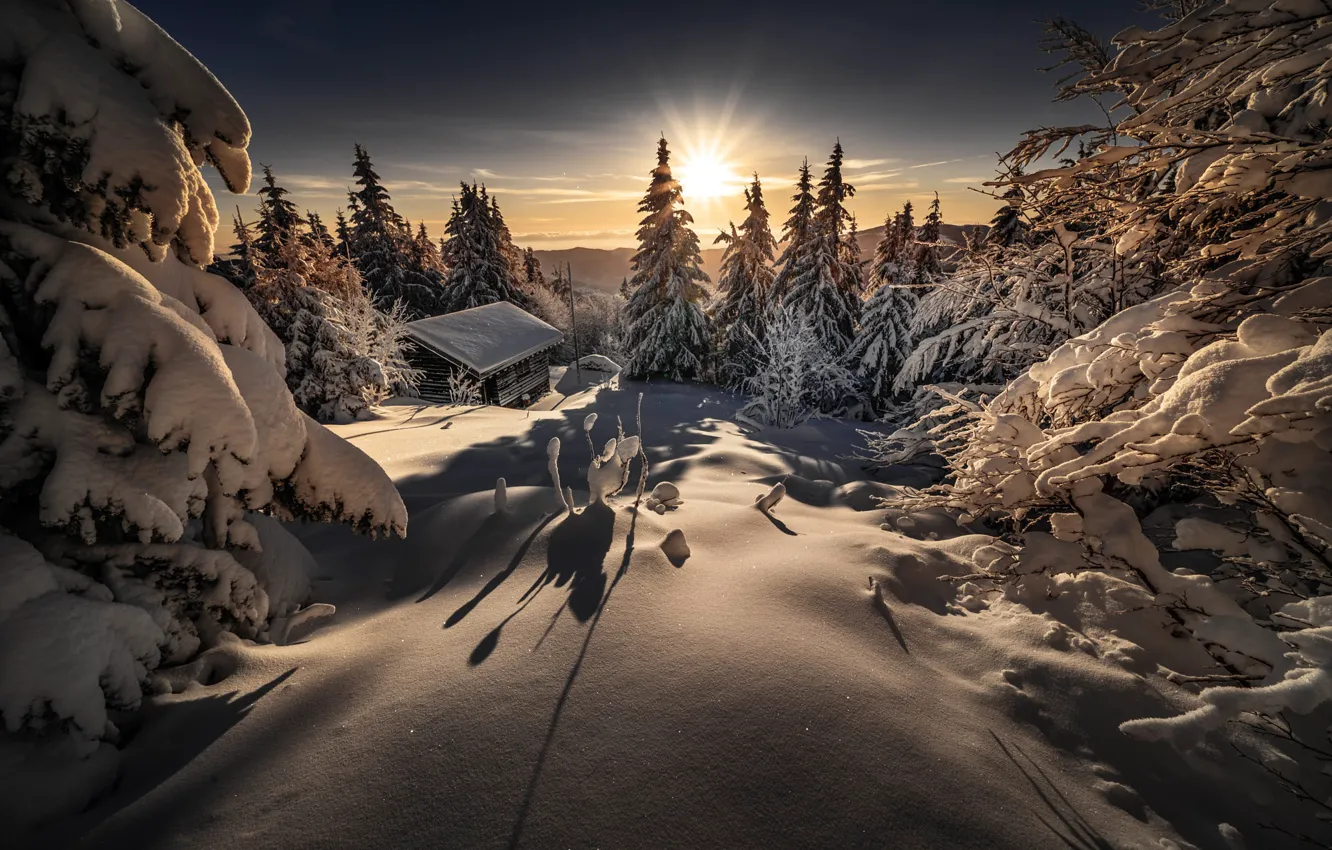 Photo wallpaper winter, the sun, rays, snow, trees, landscape, nature, home