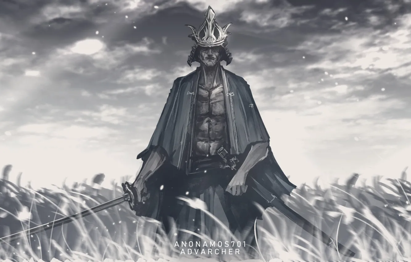 Photo wallpaper field, katana, samurai, Sekiro: Shadows Die Twice, Isshin Ashina