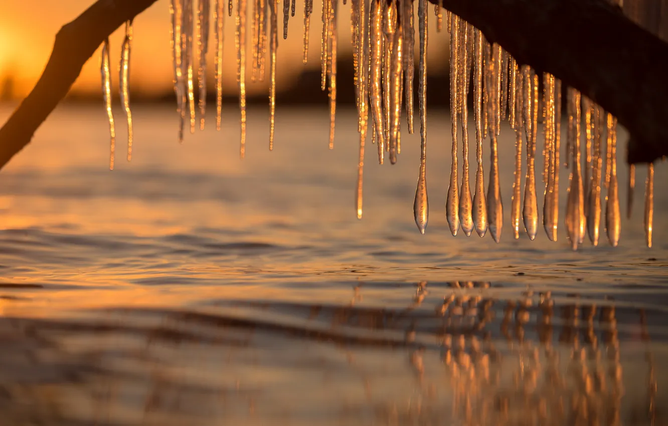 Photo wallpaper water, ice, icicles