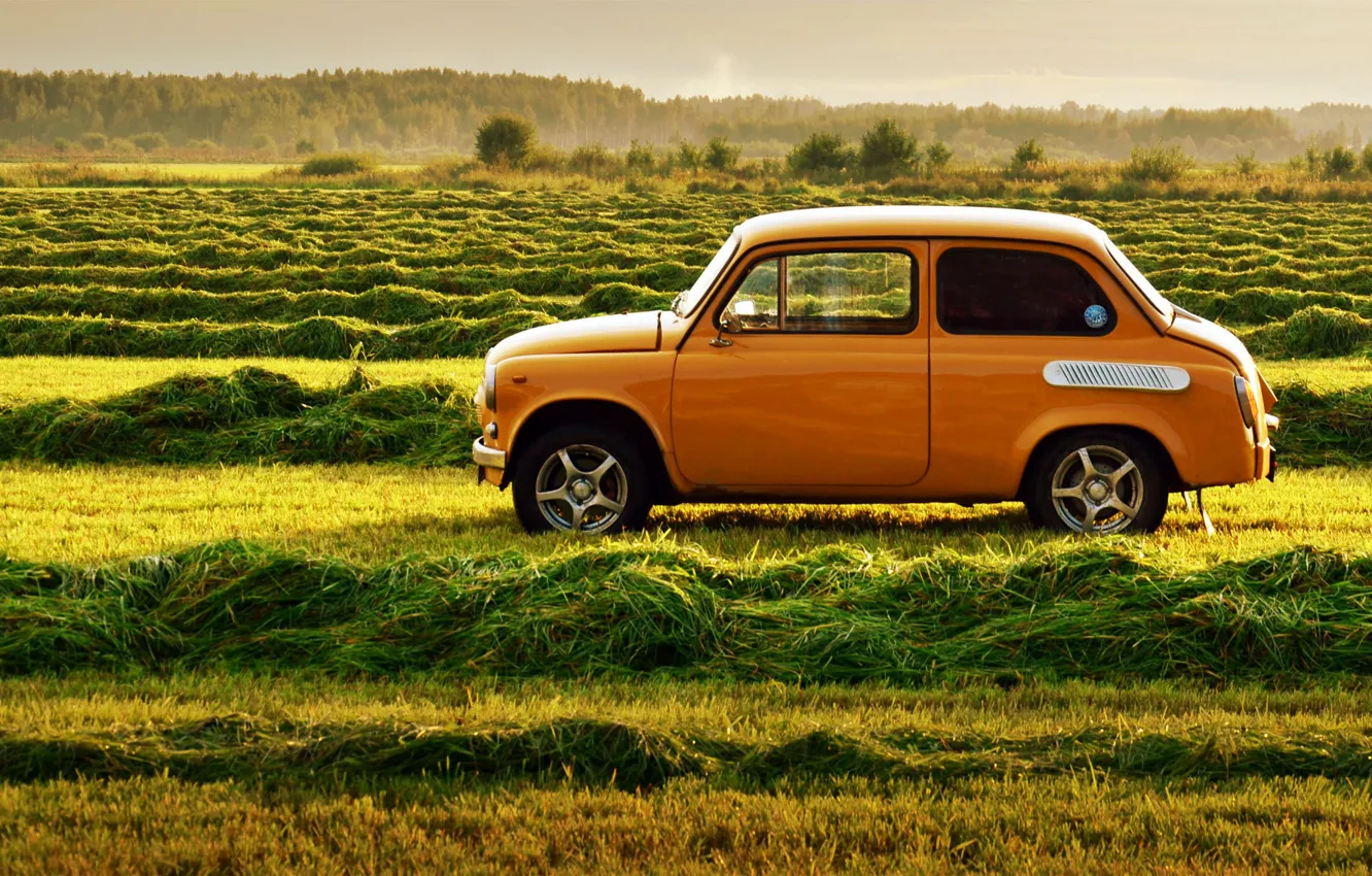 Photo wallpaper nature, retro, USSR, weed, car, Zaporozhets, ZAZ