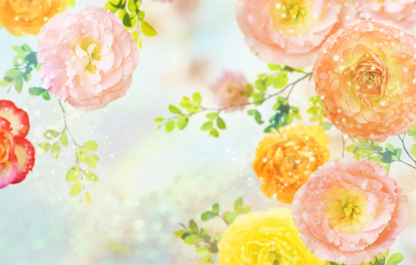 Photo wallpaper drops, Rosa, sprig, collage, Wallpaper, petals, leaf