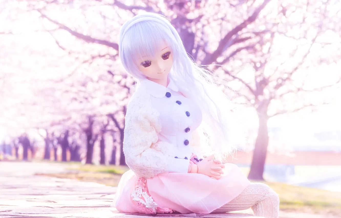 Photo wallpaper spring, doll, Sakura