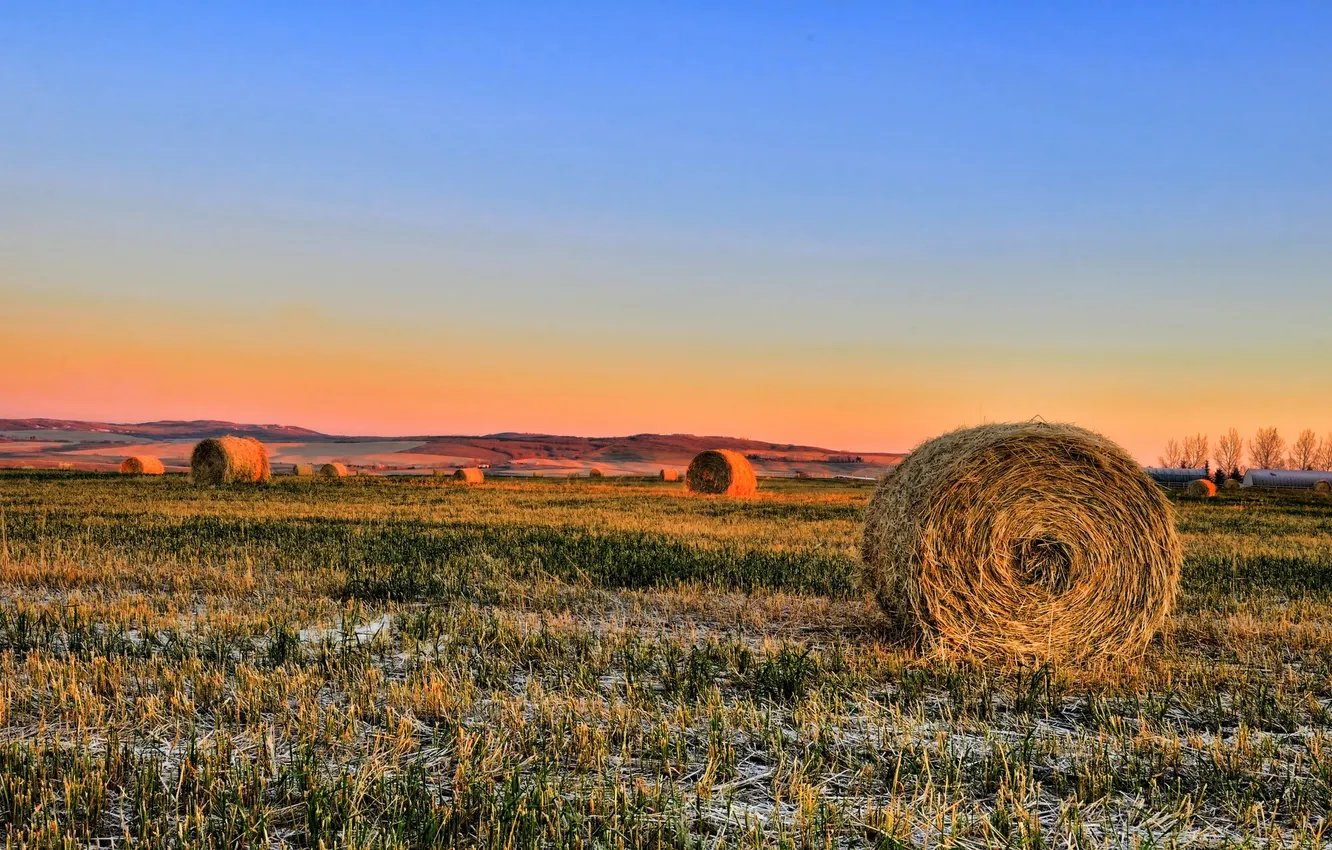 Photo wallpaper field, the sky, trees, sunset, horizon, hay, farm