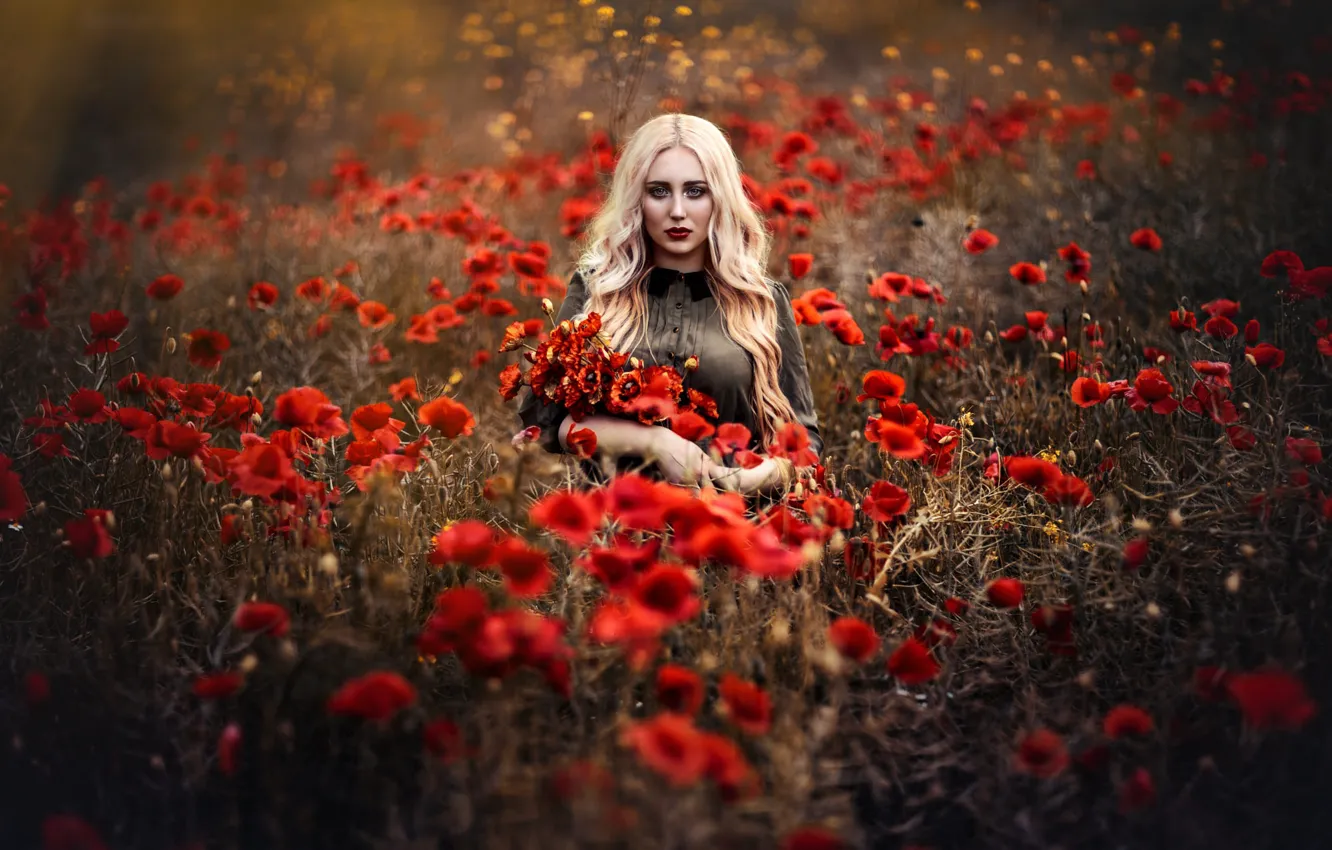 Photo wallpaper look, Maki, field, flowers, blonde
