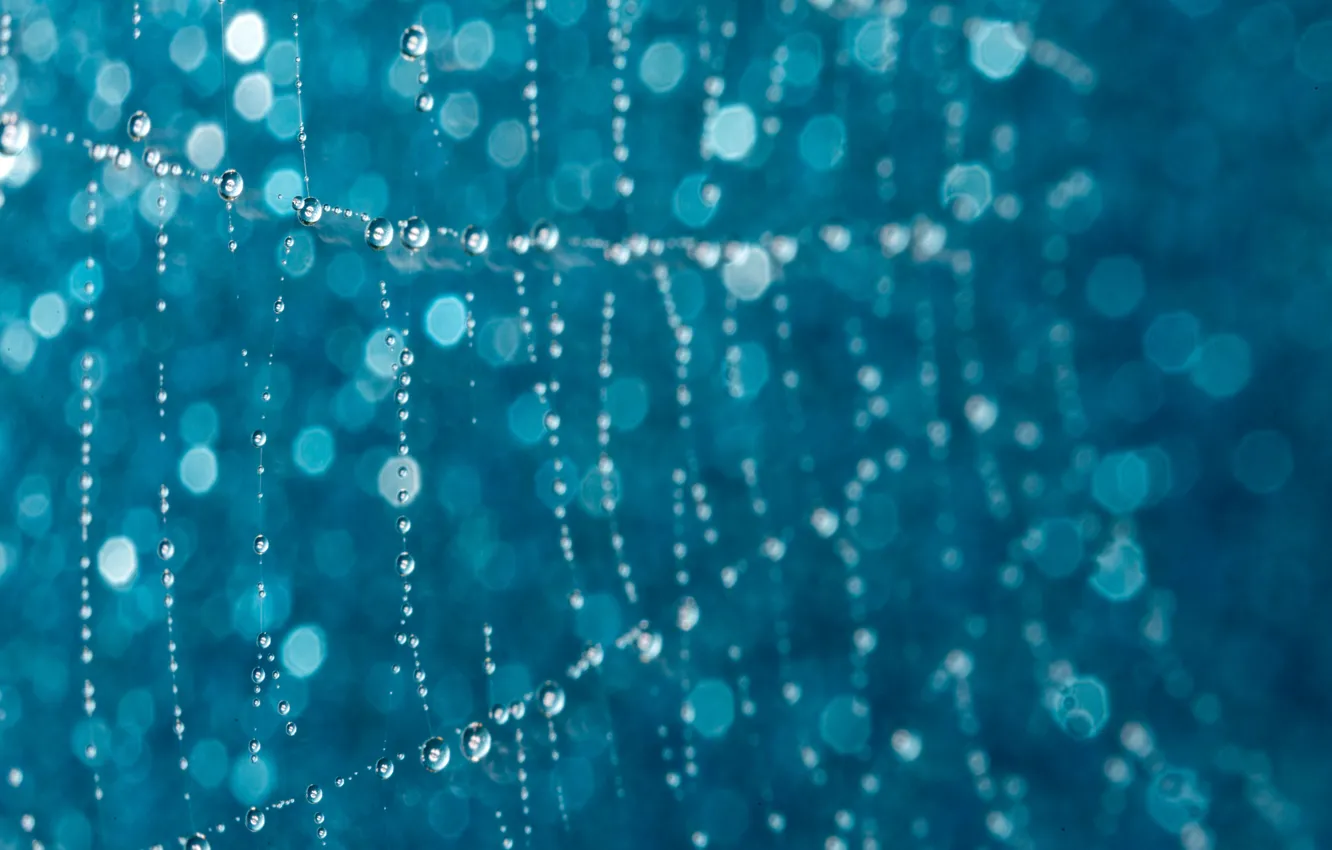 Photo wallpaper water, bokeh, drops, web
