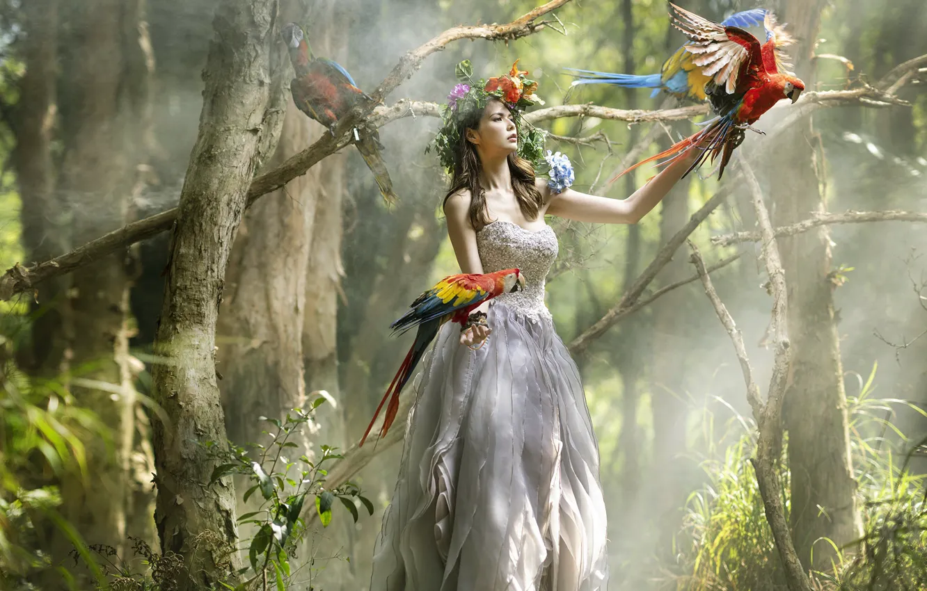 Photo wallpaper girl, nature, bird