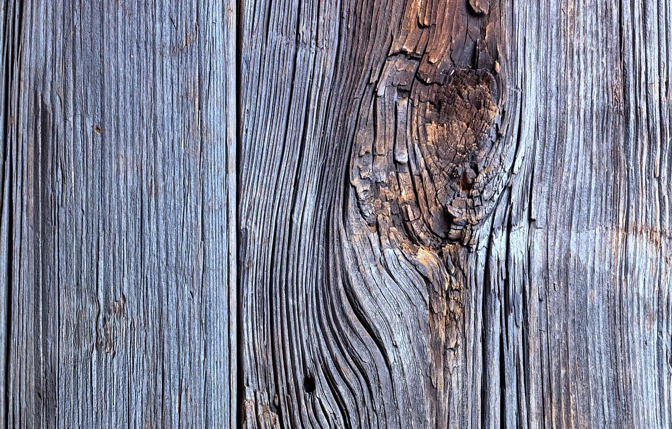 Photo wallpaper old, wood, texture