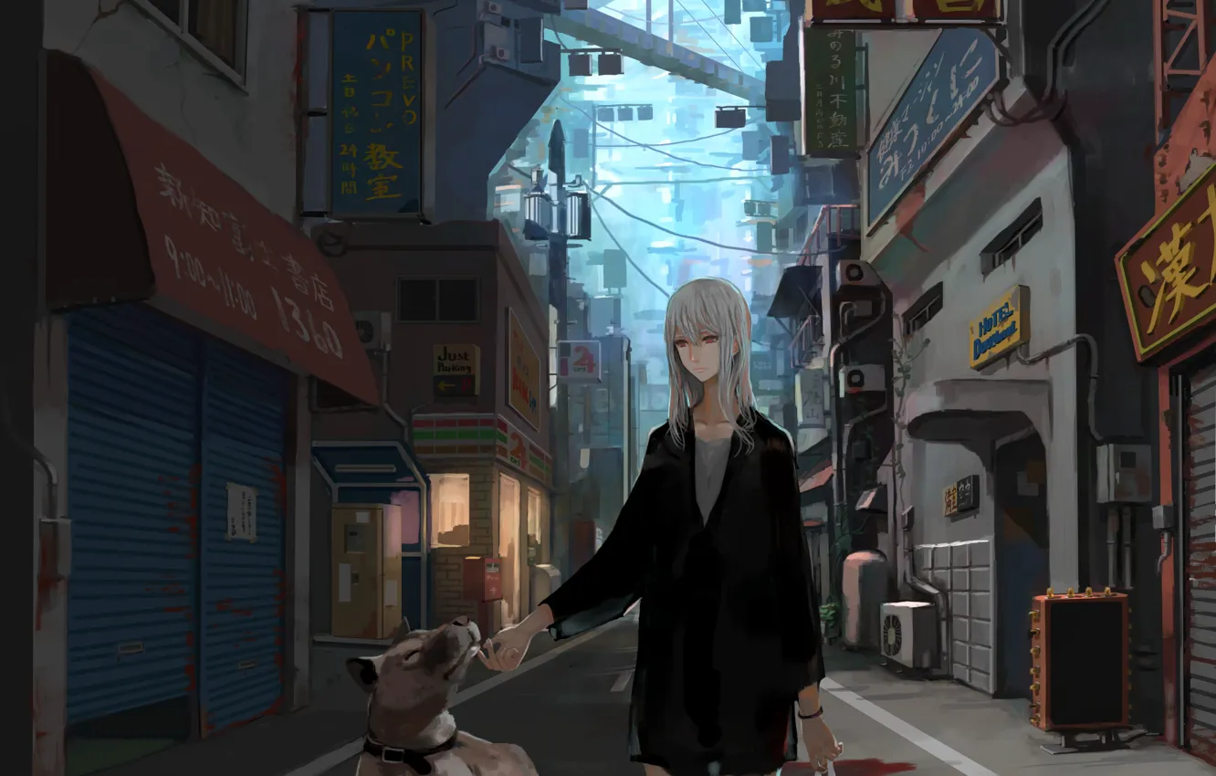 Photo wallpaper girl, the city, dog, anime, art, jittsu