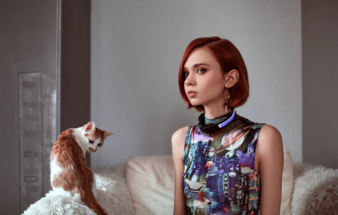 Photo wallpaper cat, decoration, pose, sofa, model, portrait, makeup, Mike