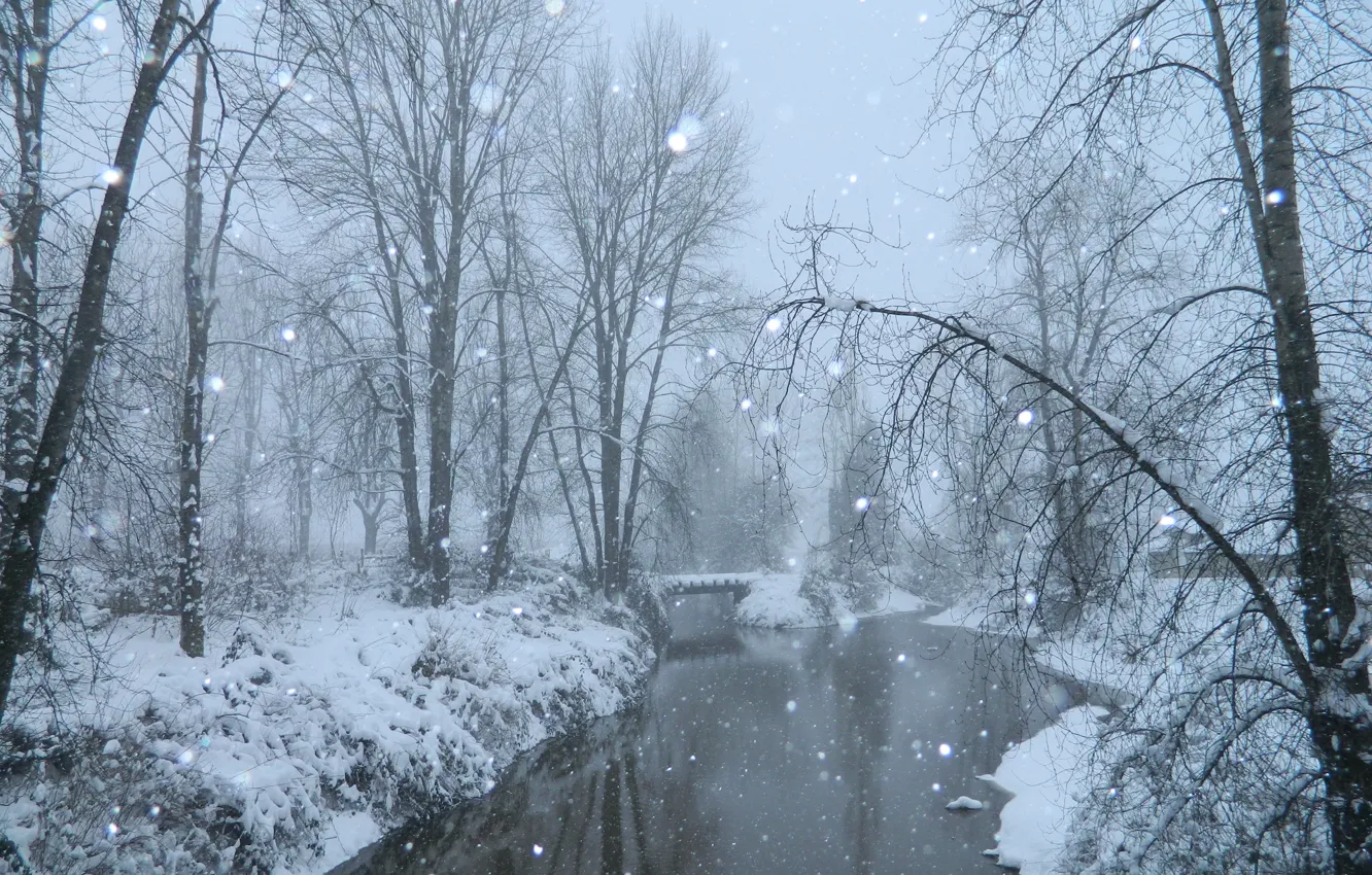 Photo wallpaper winter, snow, trees, fog, pond, frost, Nature, the bridge