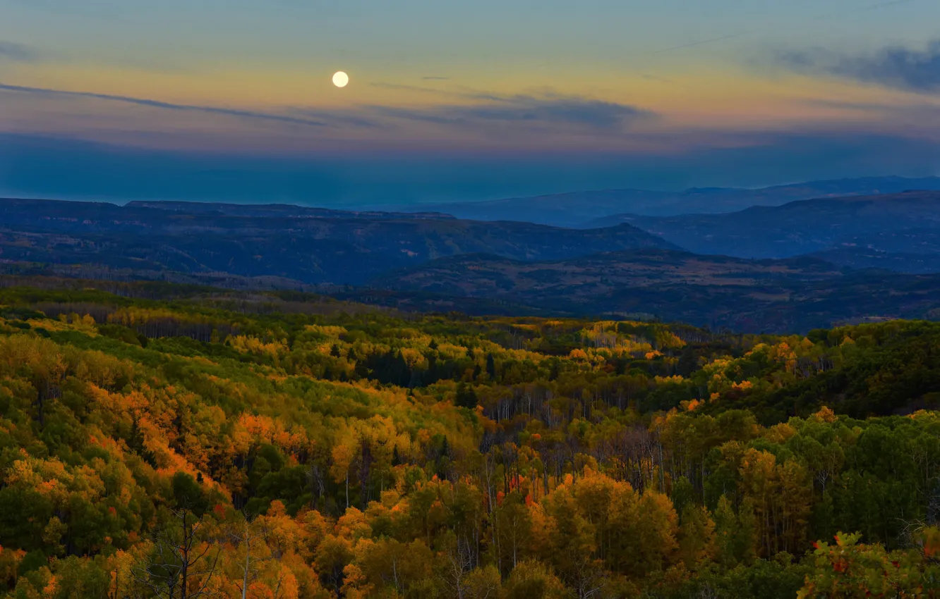 Photo wallpaper autumn, forest, trees, mountains, hills, the moon, view, height