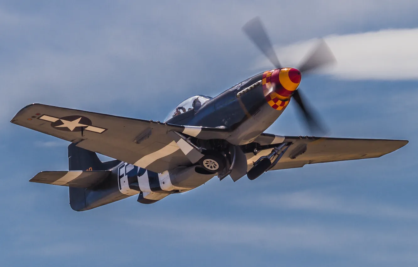 Photo wallpaper Mustang, fighter, P-51D, single
