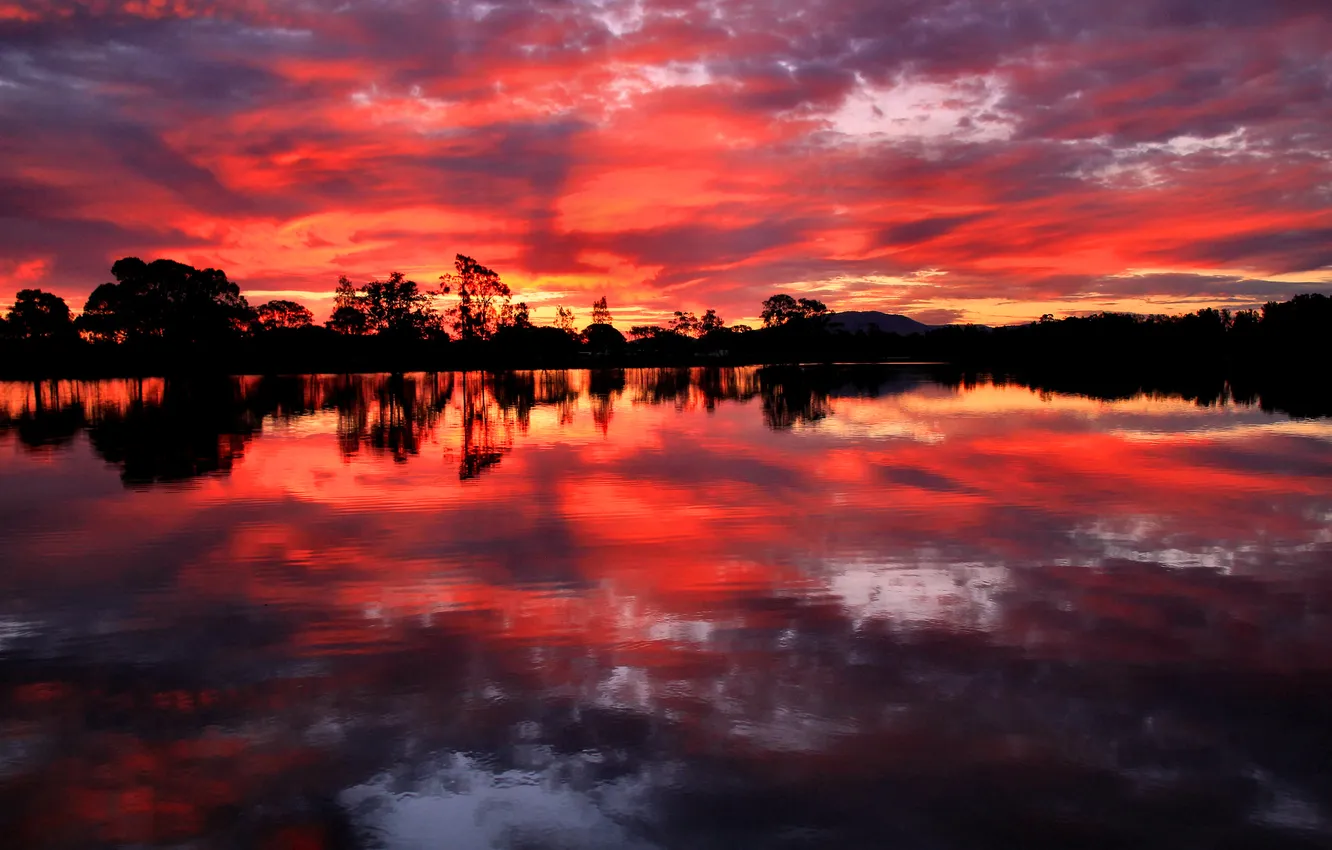 Photo wallpaper the sky, clouds, trees, lake, reflection, the evening, glow