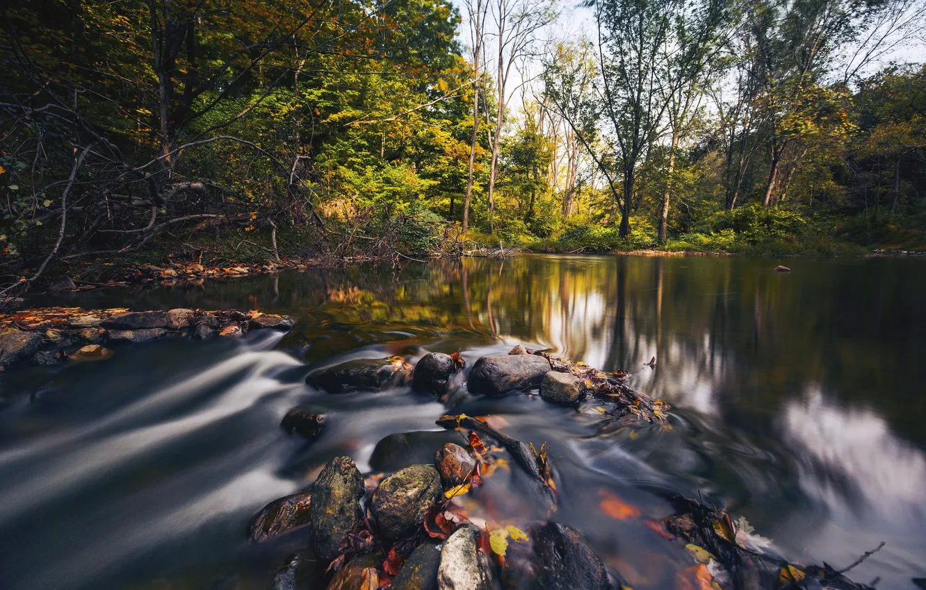 Photo wallpaper leaves, trees, lake, reflection, stones, waterfall, mirror, snag