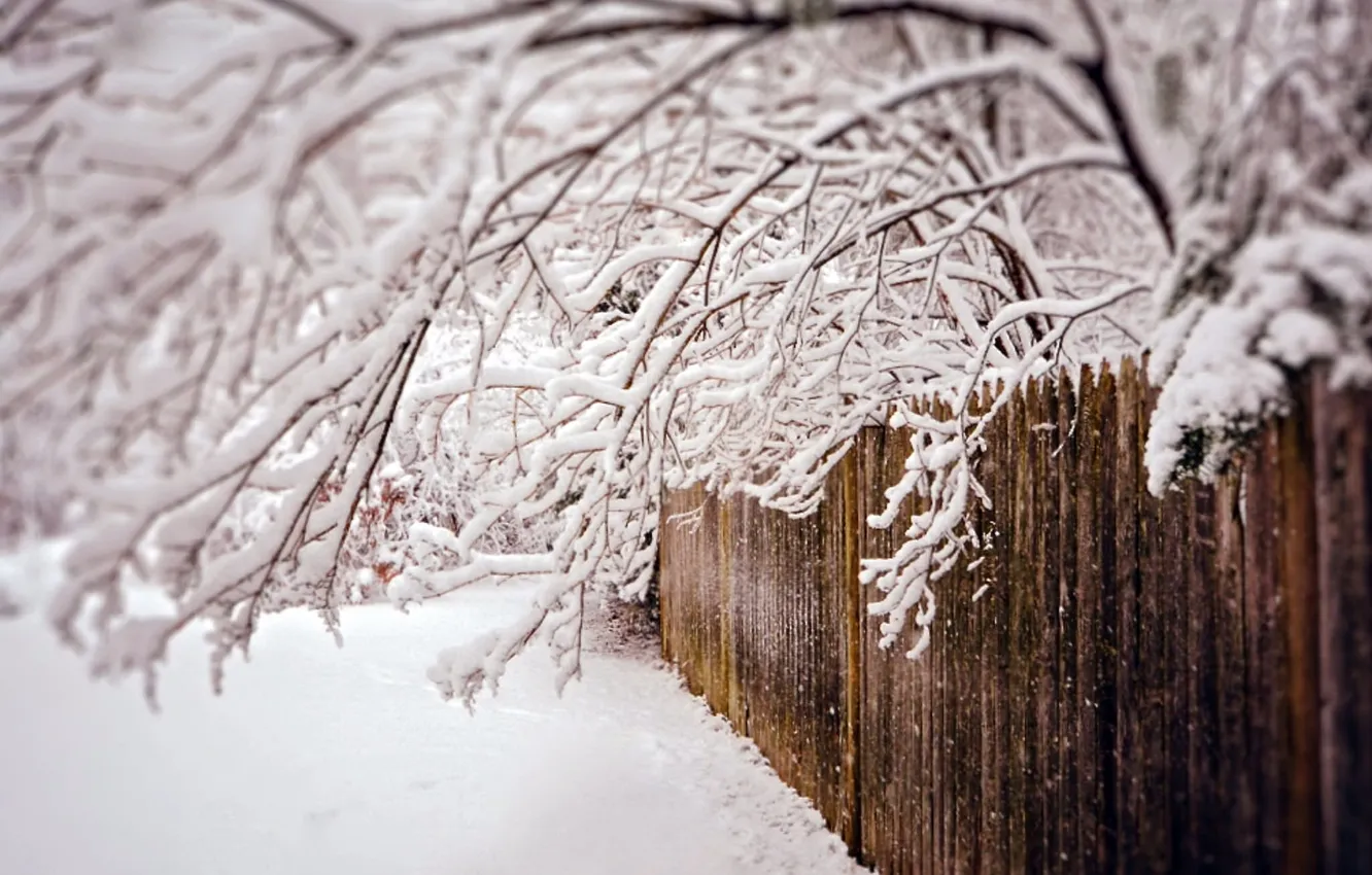 Photo wallpaper winter, snow, the fence