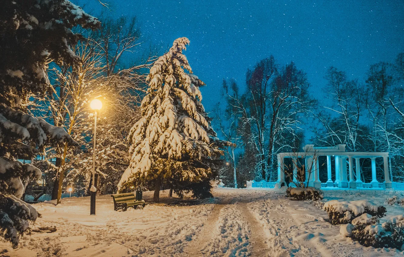 Photo wallpaper winter, snow, trees, landscape, nature, Park, the evening, lighting