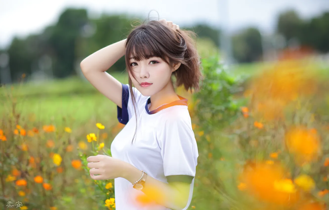 Photo wallpaper field, grass, look, girl, the sun, trees, flowers, model