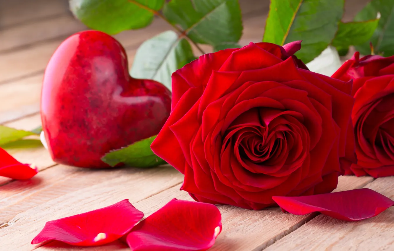 Photo wallpaper roses, red, love, buds, heart, flowers, romantic, roses