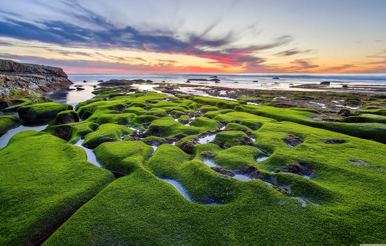 Photo wallpaper sunset, stones, shore, Sea, moss. green