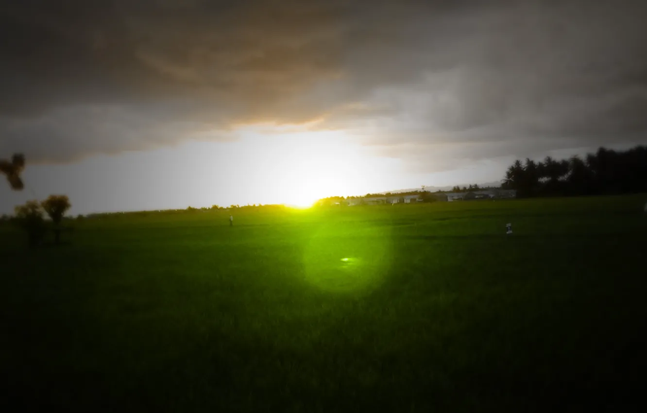 Photo wallpaper green, twilight, photography, field, sunset, rice, WEST, Indonesia