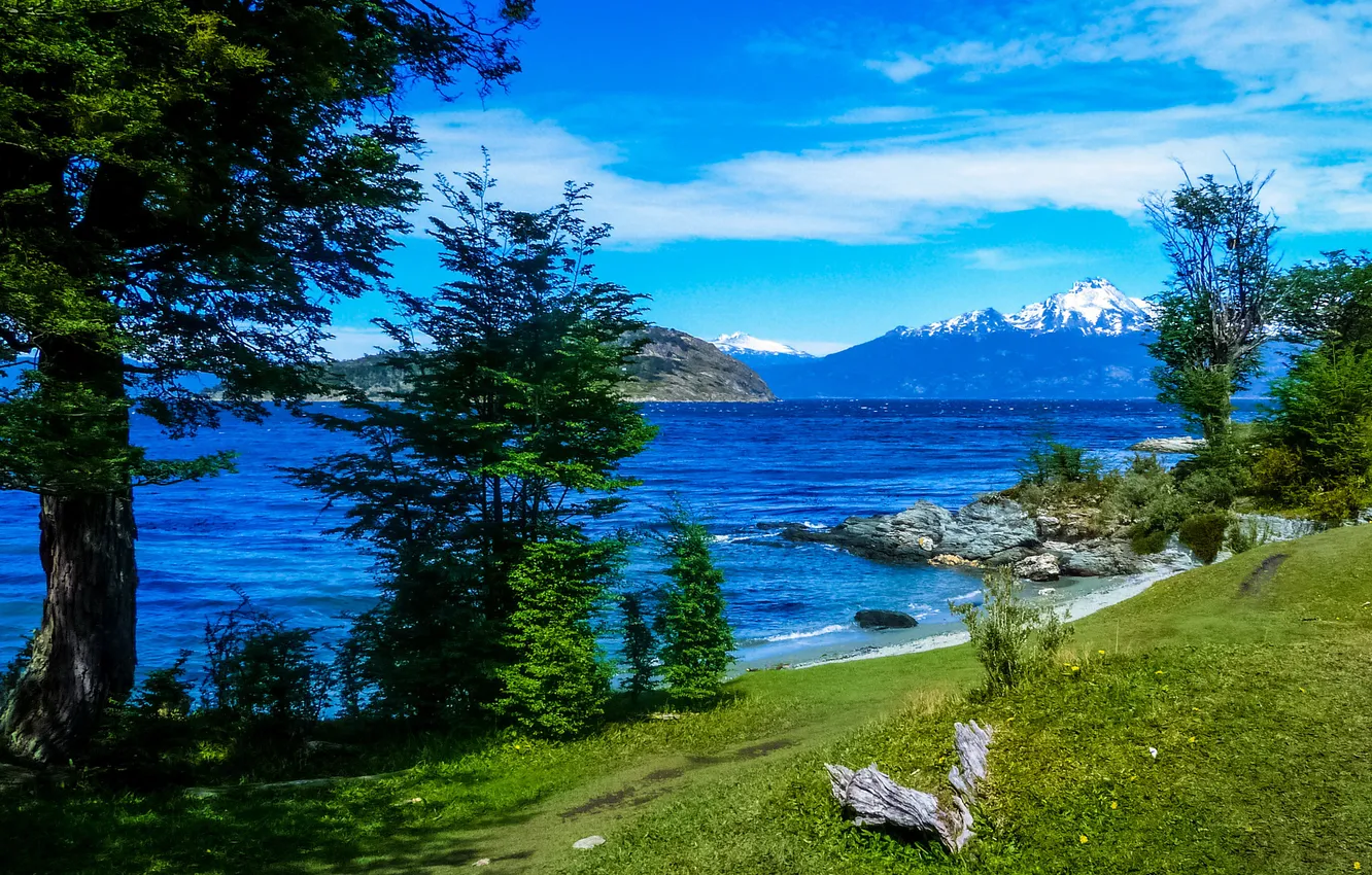 Photo wallpaper grass, trees, mountains, stones, shore, Bay, path, the bushes