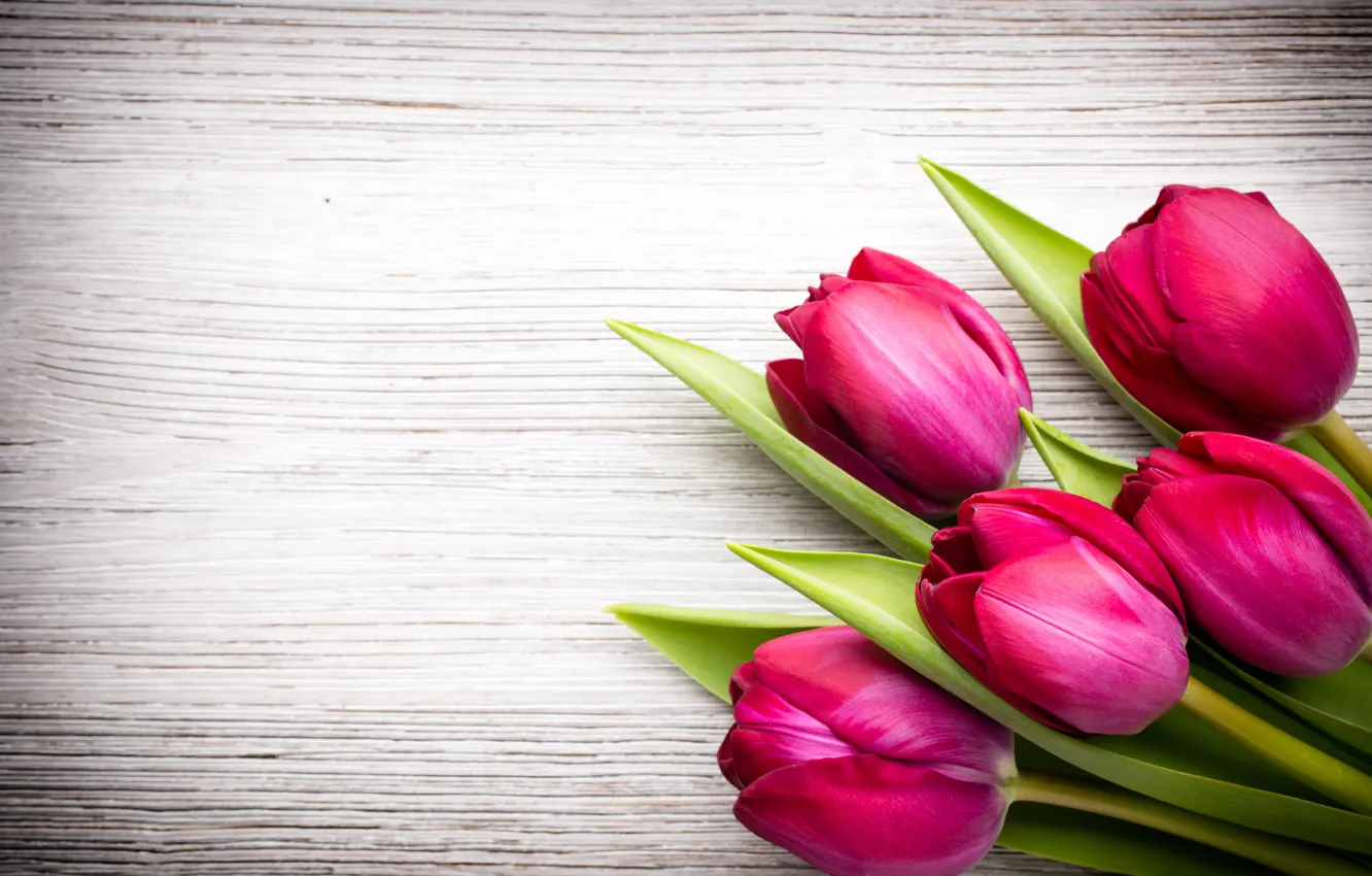 Photo wallpaper flowers, bouquet, fresh, wood, pink, flowers, beautiful, tulips