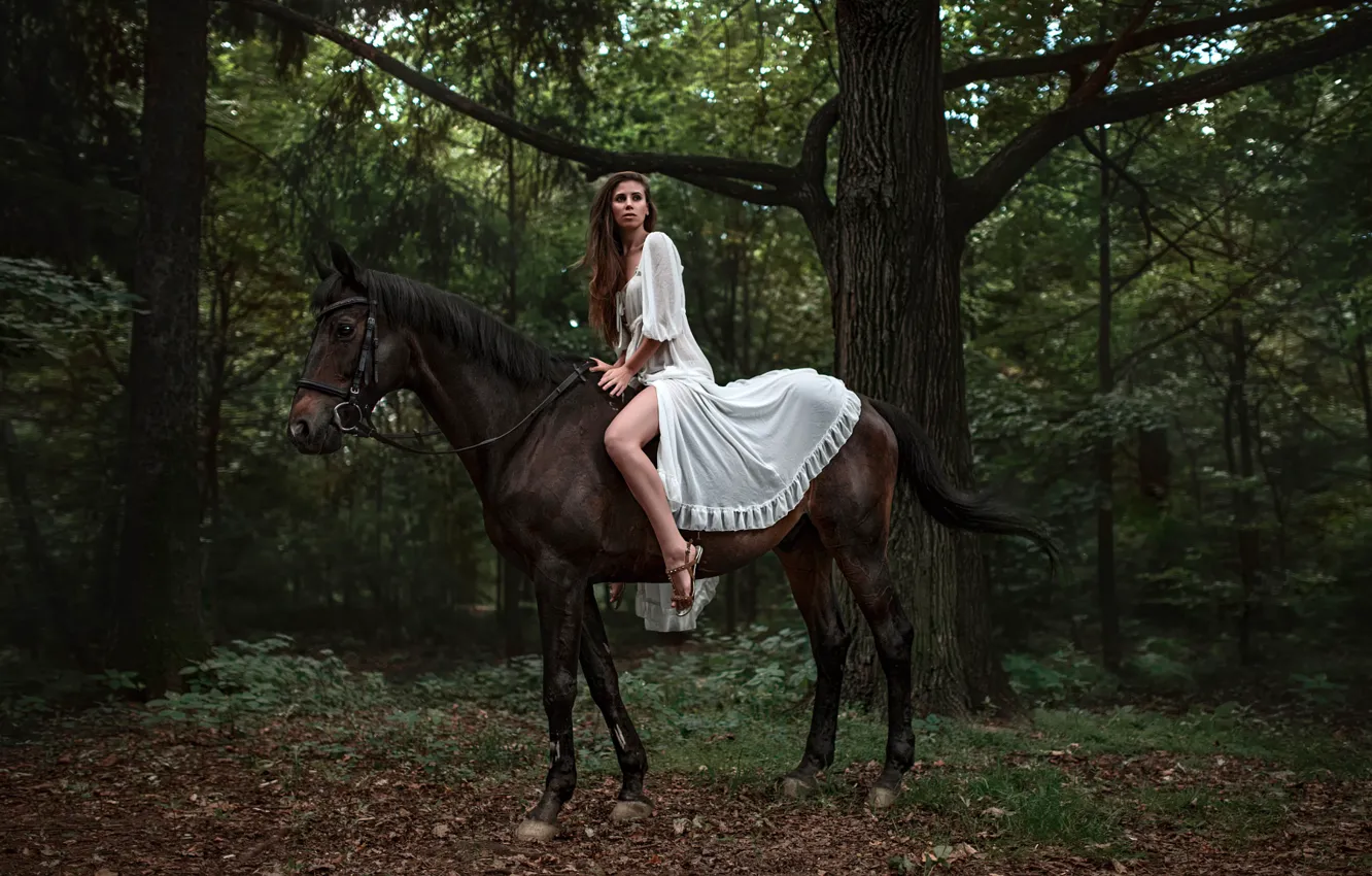 Photo wallpaper girl, horse, leg, George Chernyadev, Forest Adventure, Elena Bellfegora