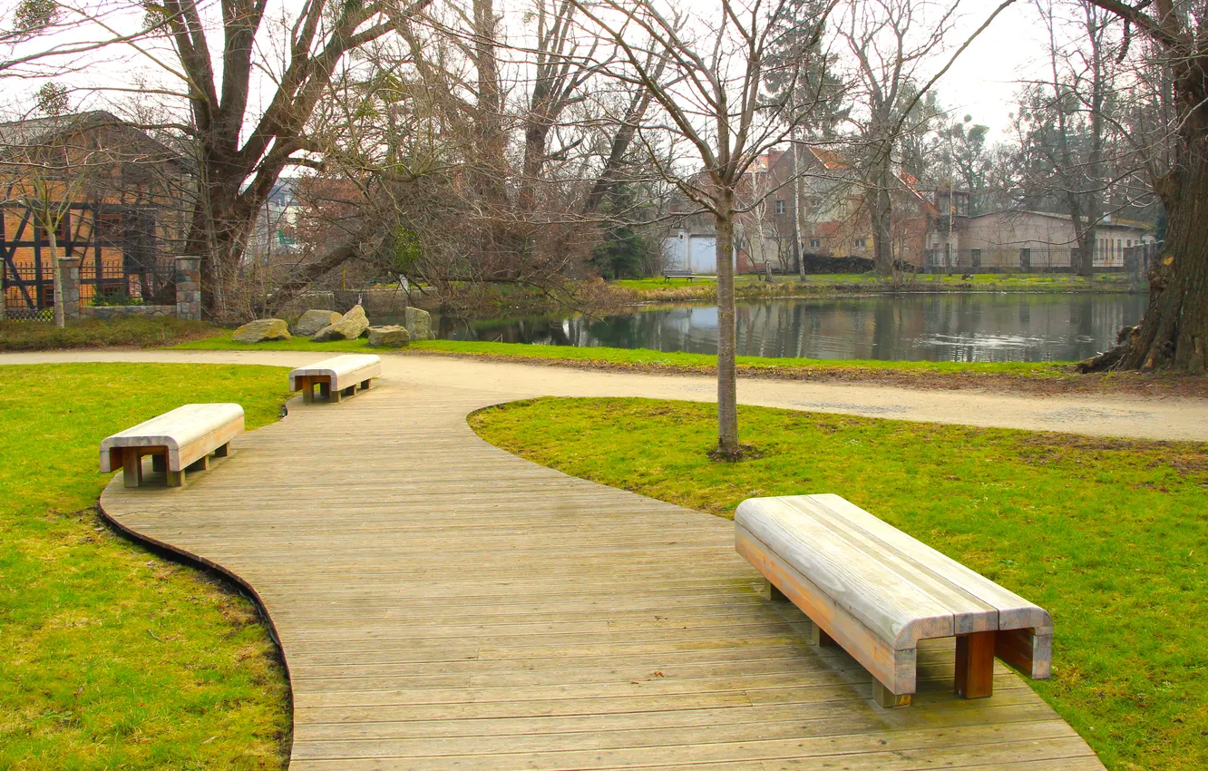 Photo wallpaper park, bench, alley