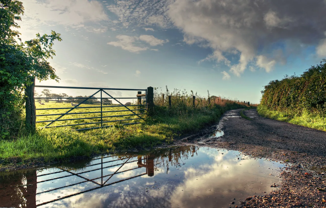 Photo wallpaper road, field, summer, nature, the fence, puddle