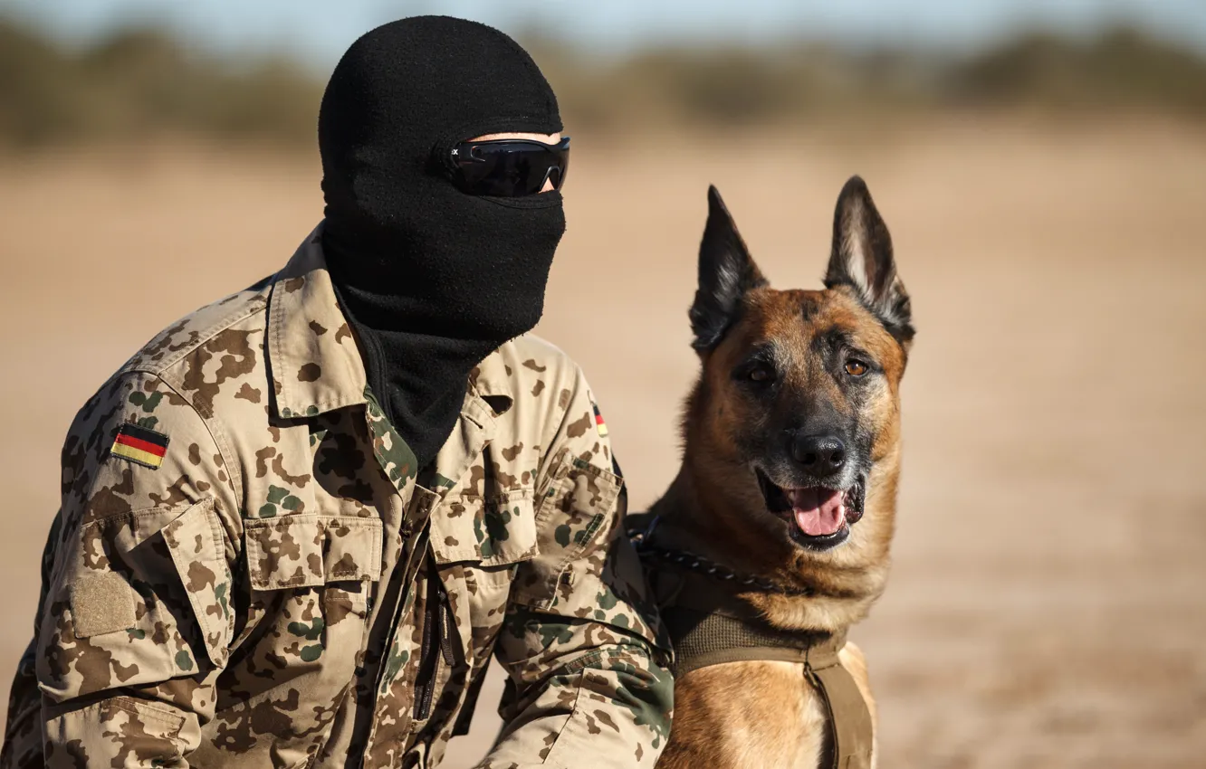 Photo wallpaper dog, mask, glasses, soldiers, partners