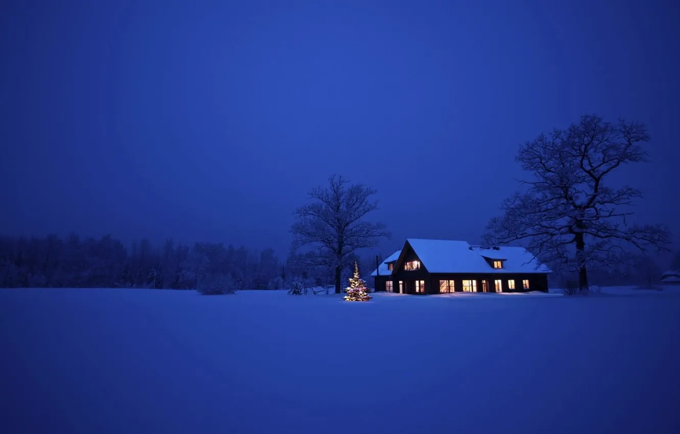Photo wallpaper winter, field, forest, snow, trees, night, home, space