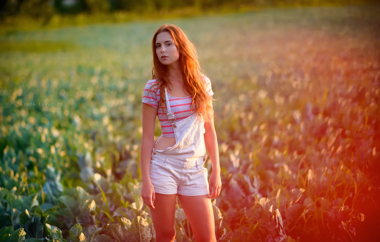 Photo wallpaper field, summer, girl