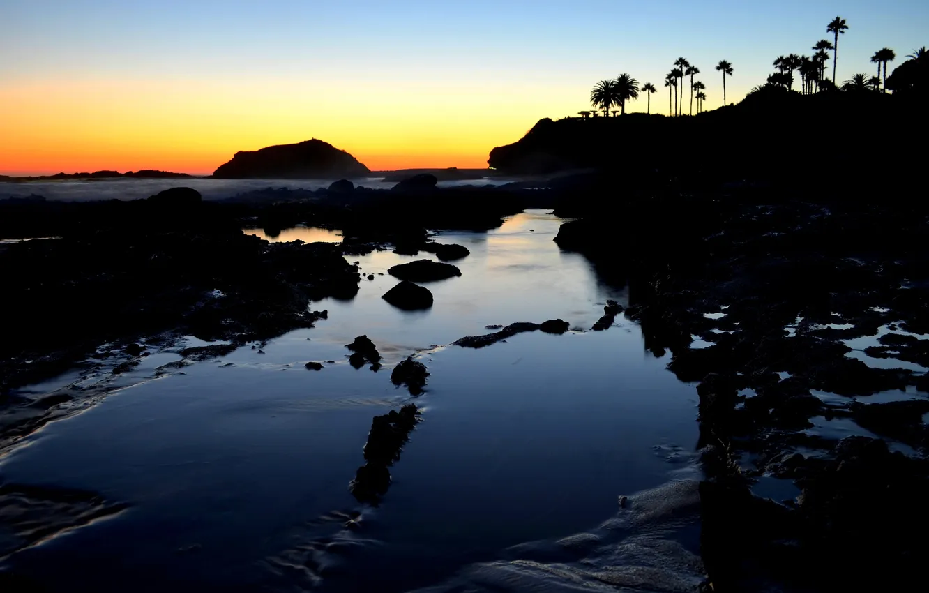 Photo wallpaper beach, palm trees, dawn, southern california, Laguna Beach