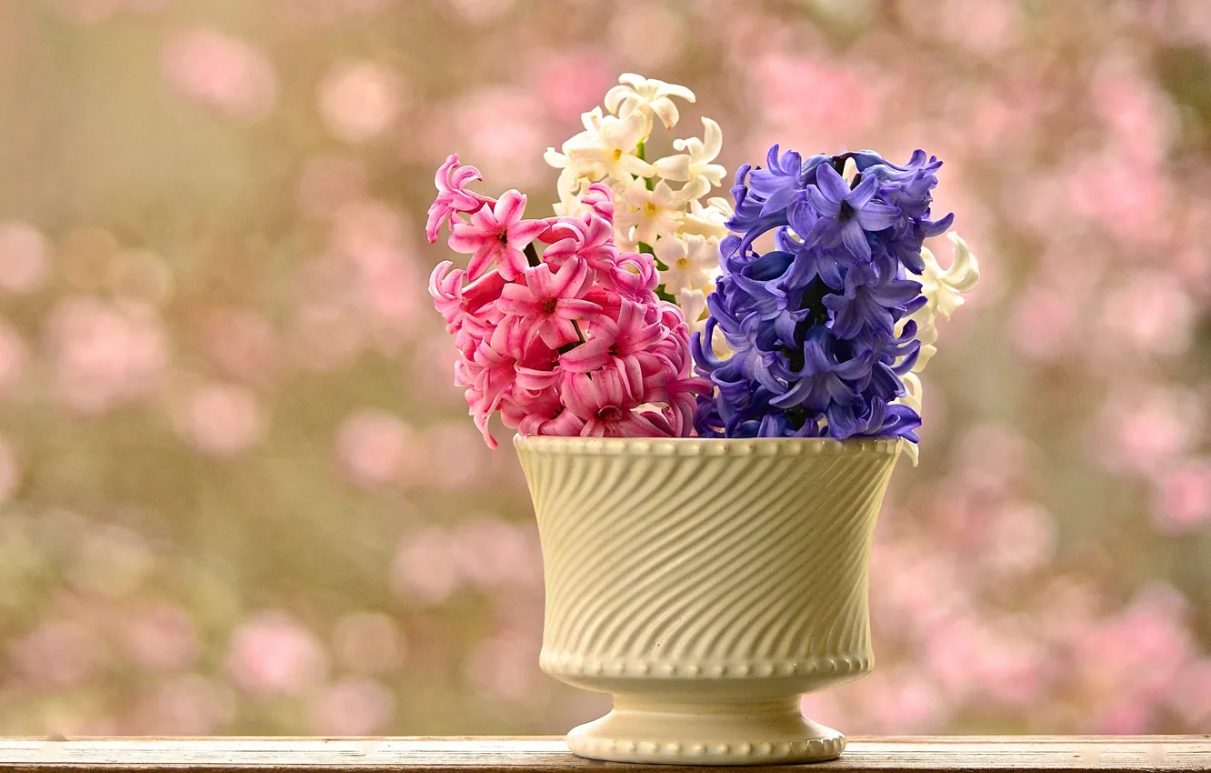Photo wallpaper background, vase, hyacinths